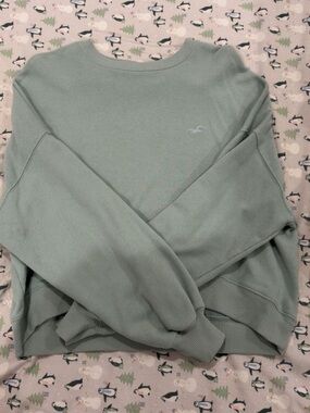 Hollister Mint Green Cropped Sweatshirt